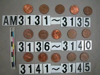 藏品(美國1分硬幣)的圖片